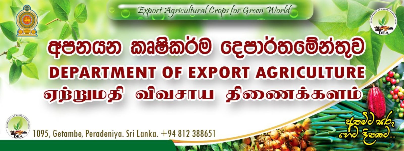 Relief for Disaster-hit Crops to be Provided